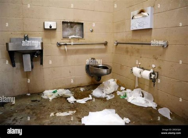 Are public toilets dirty?