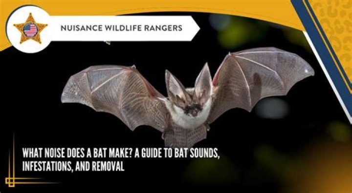 Are there sounds that repel bats?