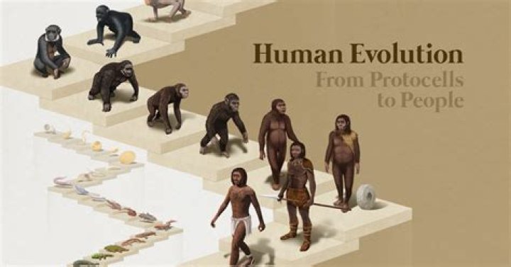 How did humans first get here?