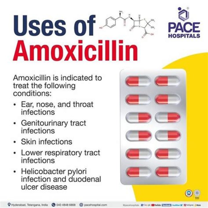How long after taking amoxicillin am I not contagious?