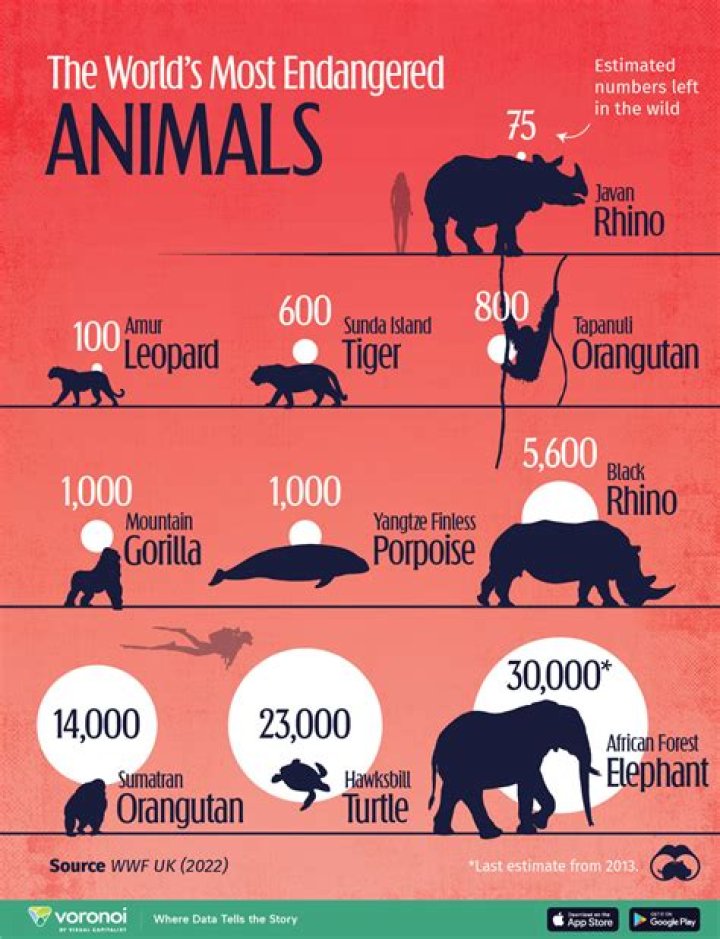 How many animals will be extinct in 2050?