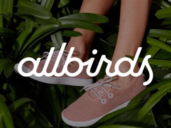 Is Allbirds a PBC?