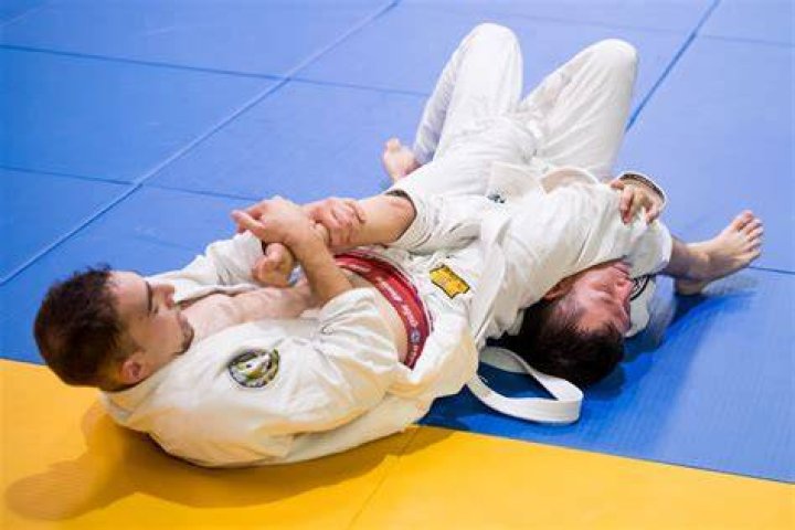 Is BJJ like wrestling?