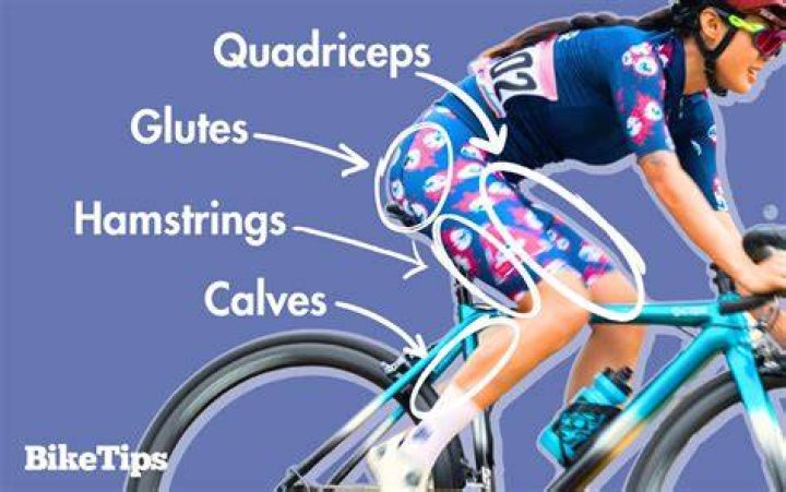 What body parts are toned by cycling?