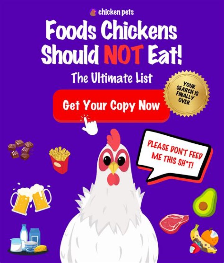 What do chickens like to eat the most?