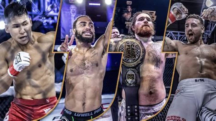 What is cage fighting called?