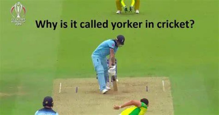 Why is it called yorker?